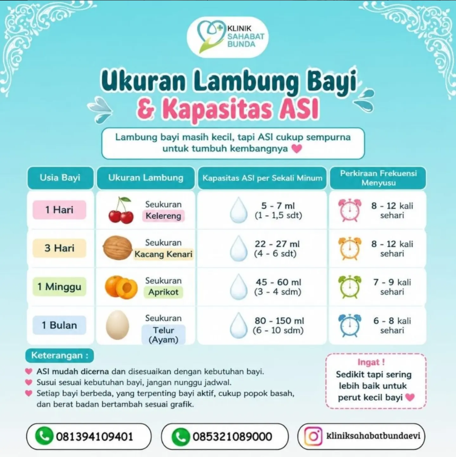 Ukuran Lambung Bayi & Kapasitas ASI